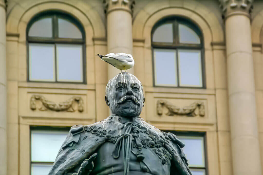 Pigeon standing on the Statue in Montreal, Canada