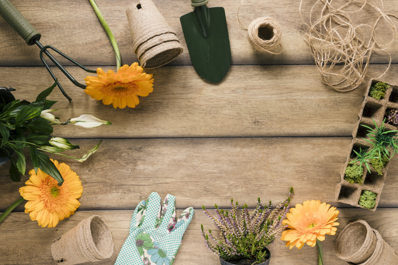 Herramientas de Jardinería: 39 Esenciales para Hacer Florecer tu Jardín