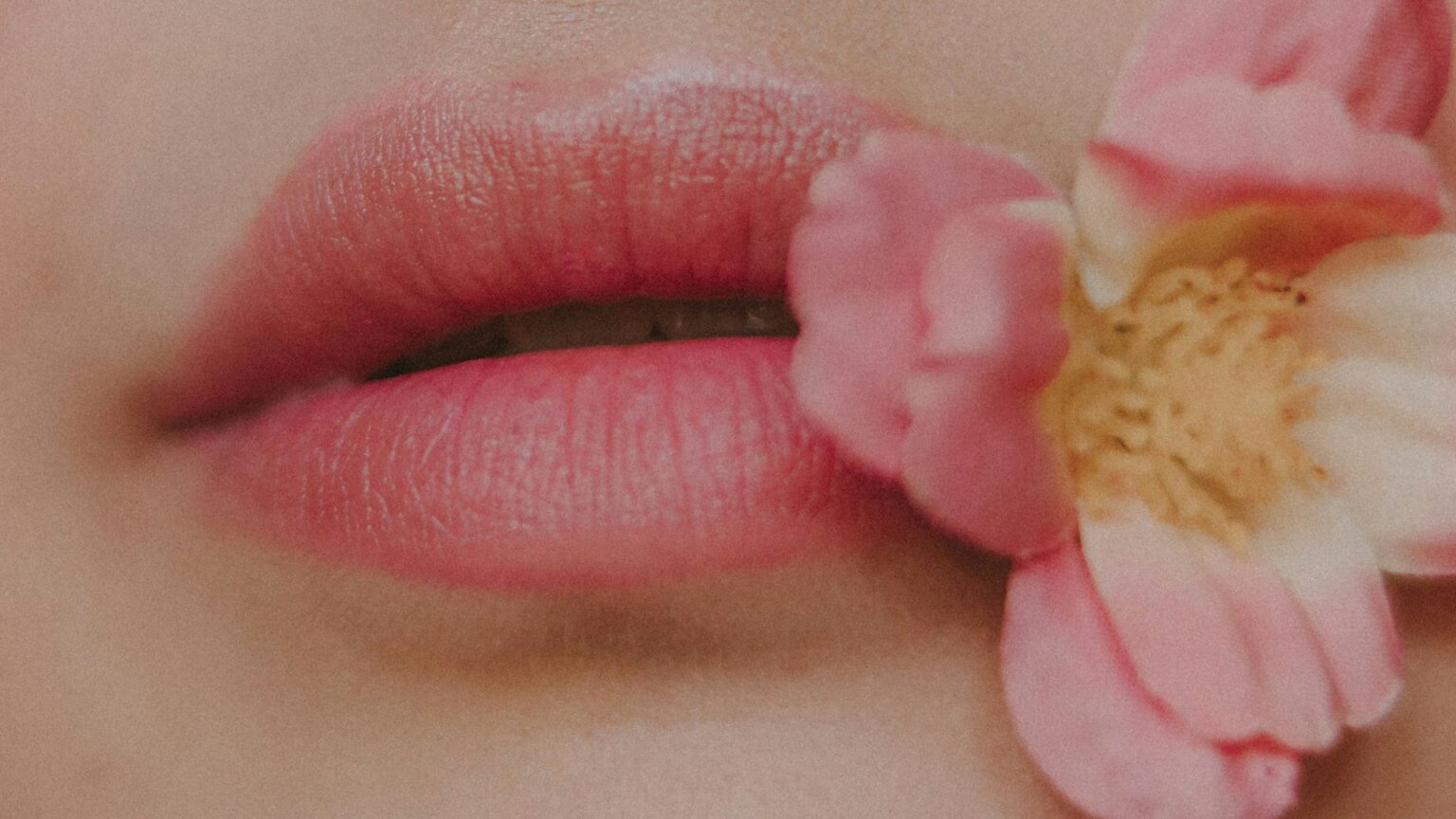 These Lipstick Tips Keep Color On Longer Close-up of a woman's lips with a flower held gently in her mouth