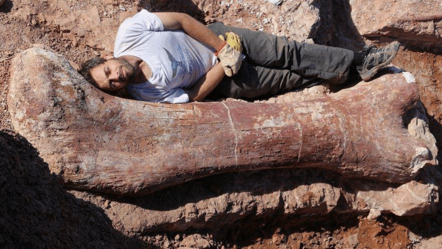 Dinosaur Bones Recovered from Patagonia Were so Large They Cracked the Road