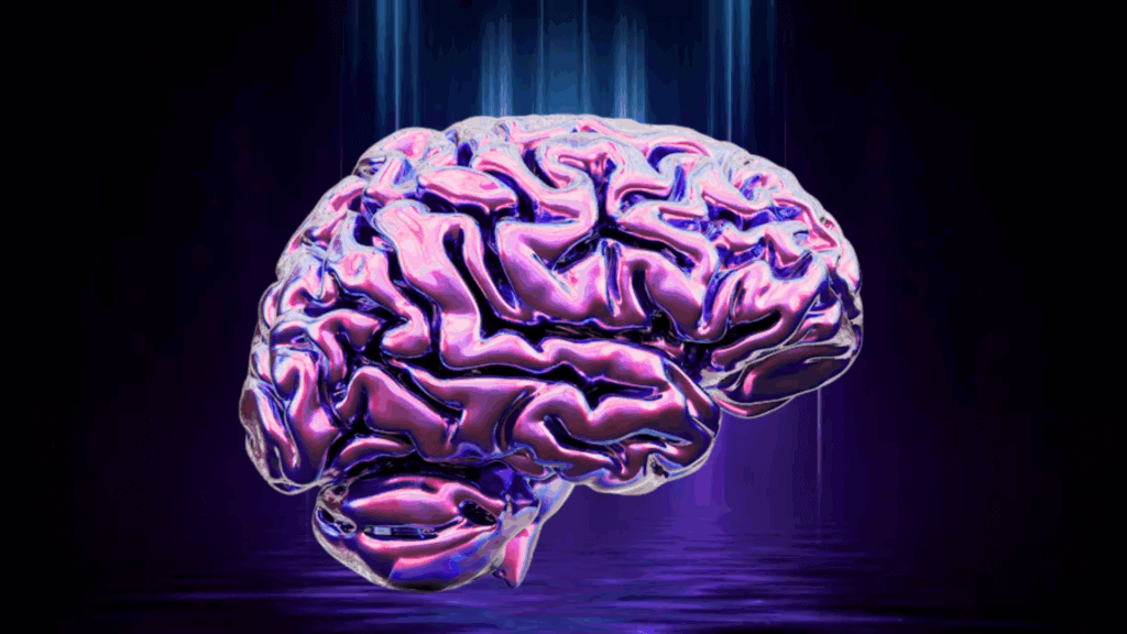 Digital image of a brain