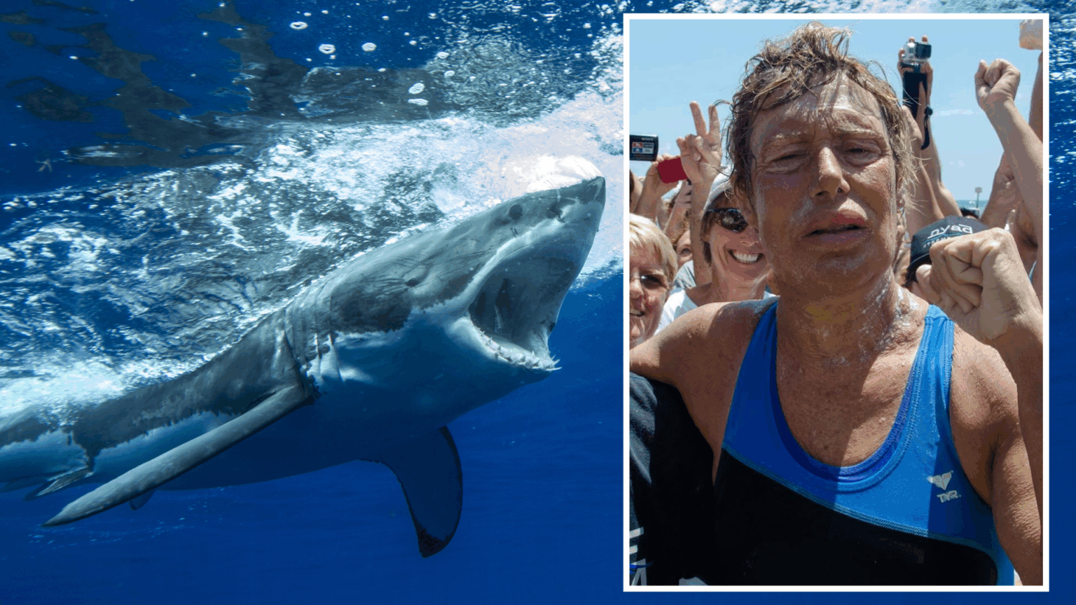 64-Year-Old Took On a Grueling 53-Hour Swim in the ‘Shark Attack Capital of the World’ Without Cage Protection