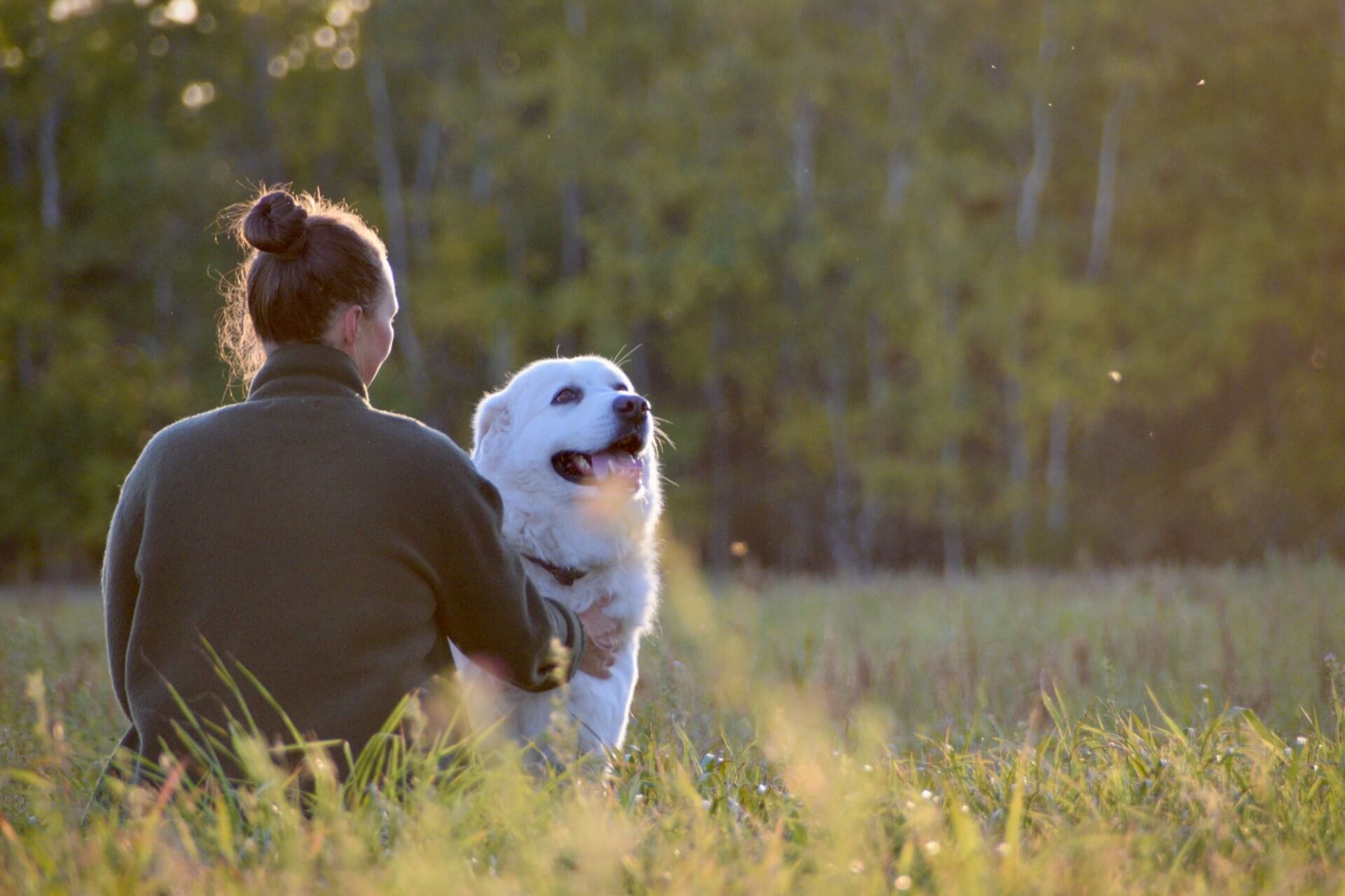 Woman sitting peacefully with her dog in a sunlit meadow