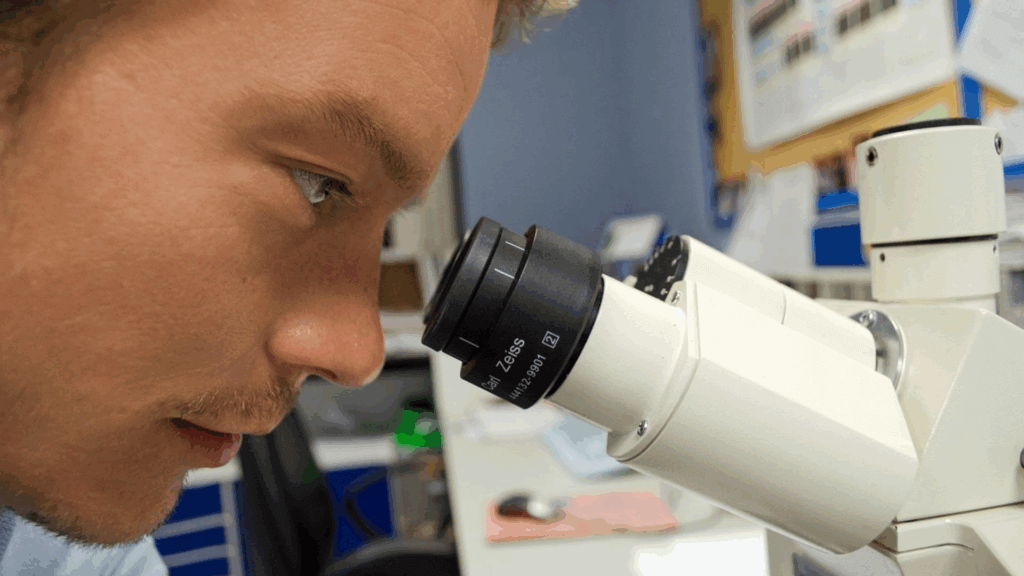 Man looking at microscope