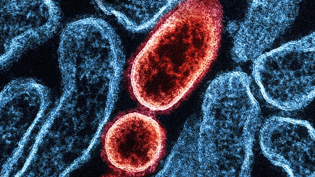 Antibody imaging