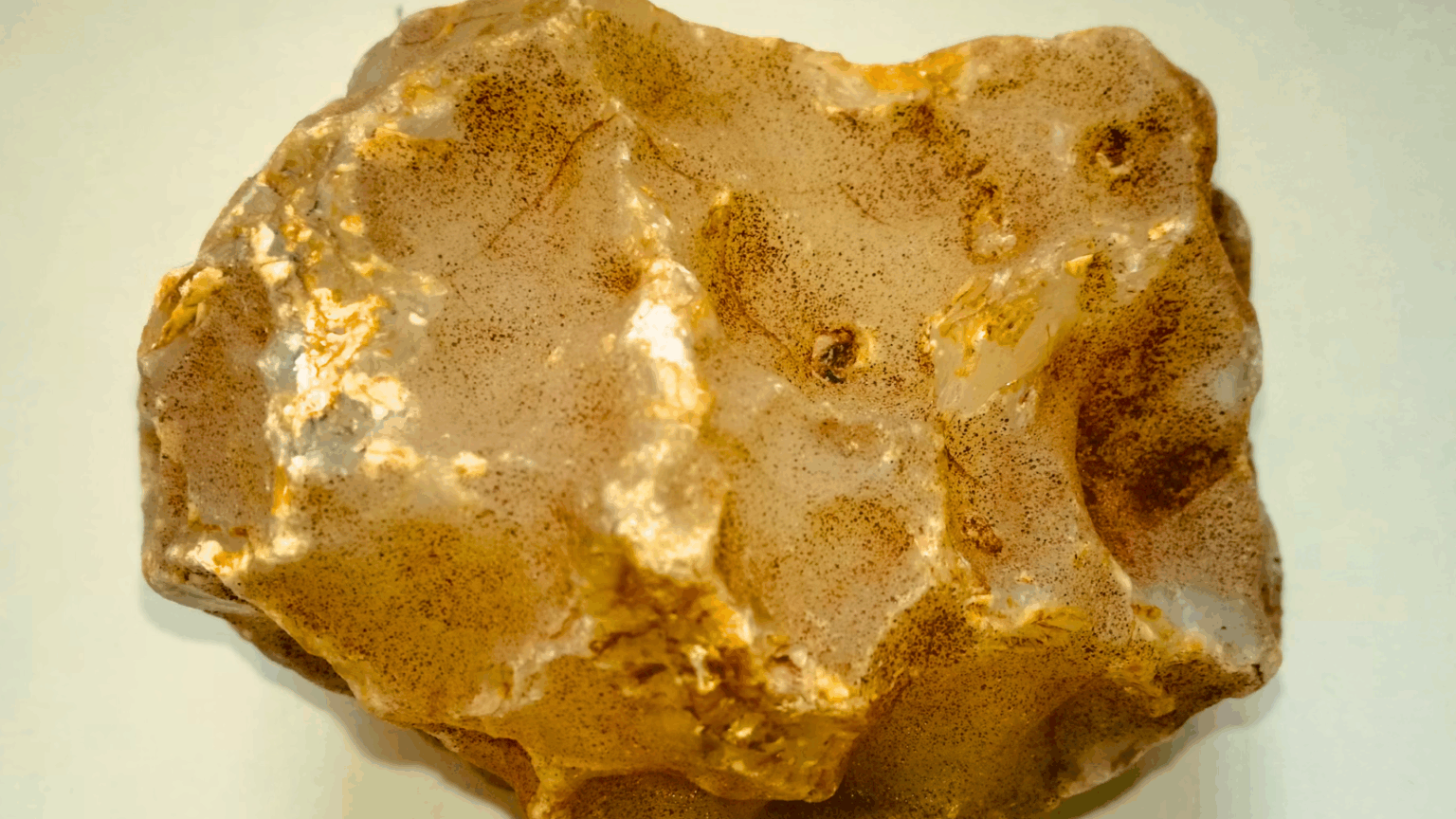 Man’s “Gold” Rock Was Really a 4.6-Billion-Year-Old Piece of the Solar System Golden meteorite