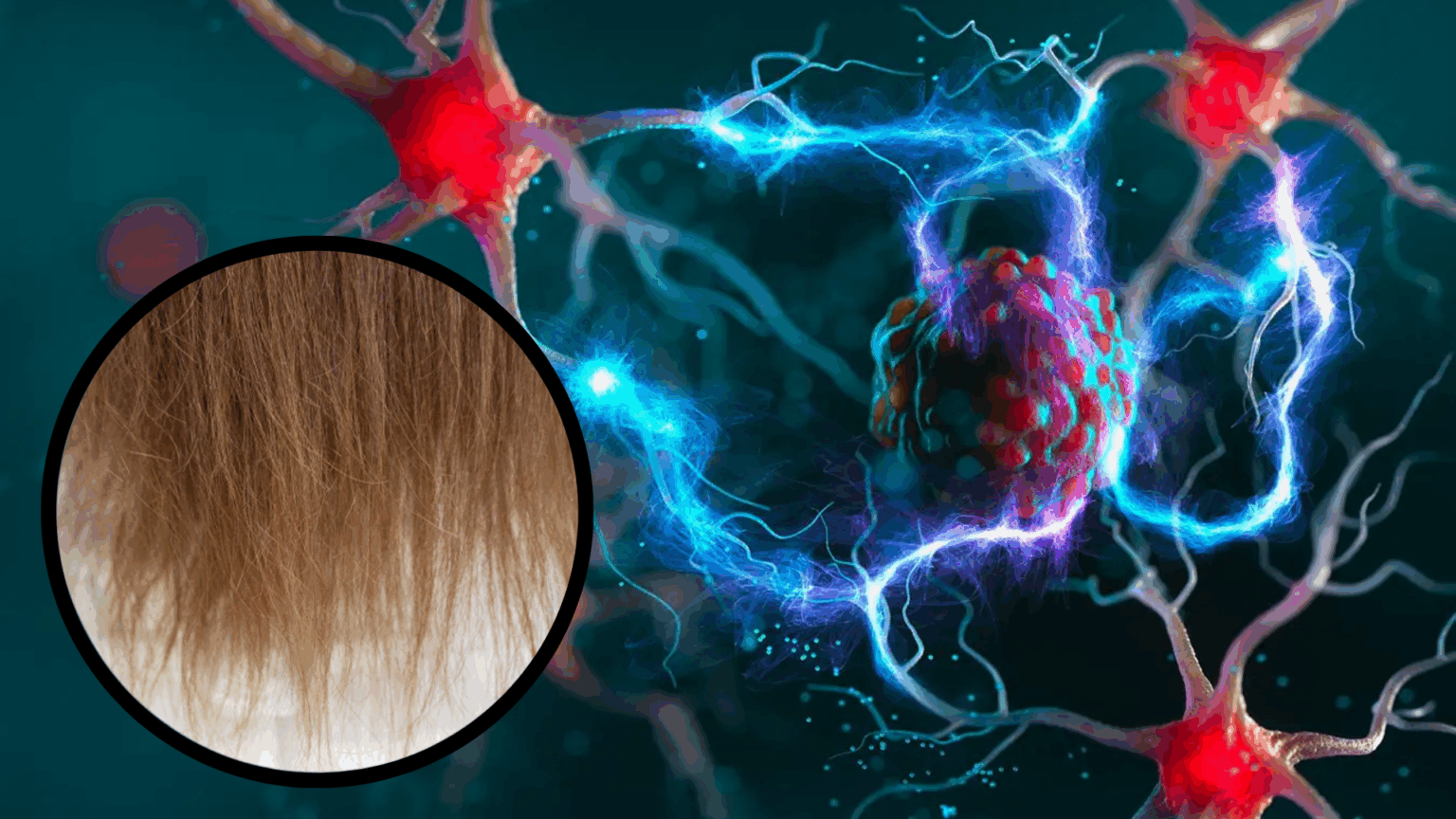 Neurons with electric signals and a close-up of thinning hair.