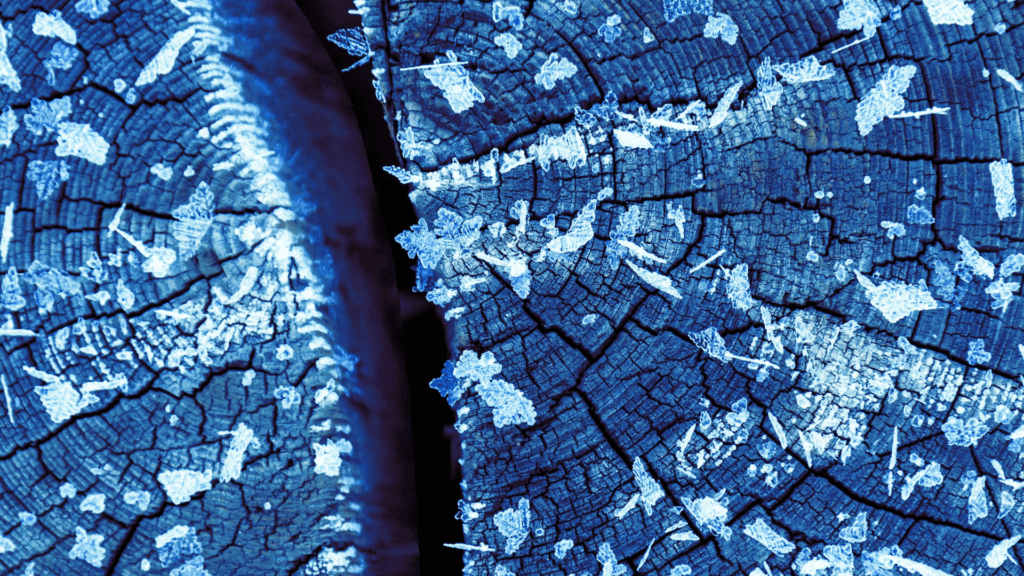 Close-up of frosty snowflakes on cracked wooden logs with a blue tint.
