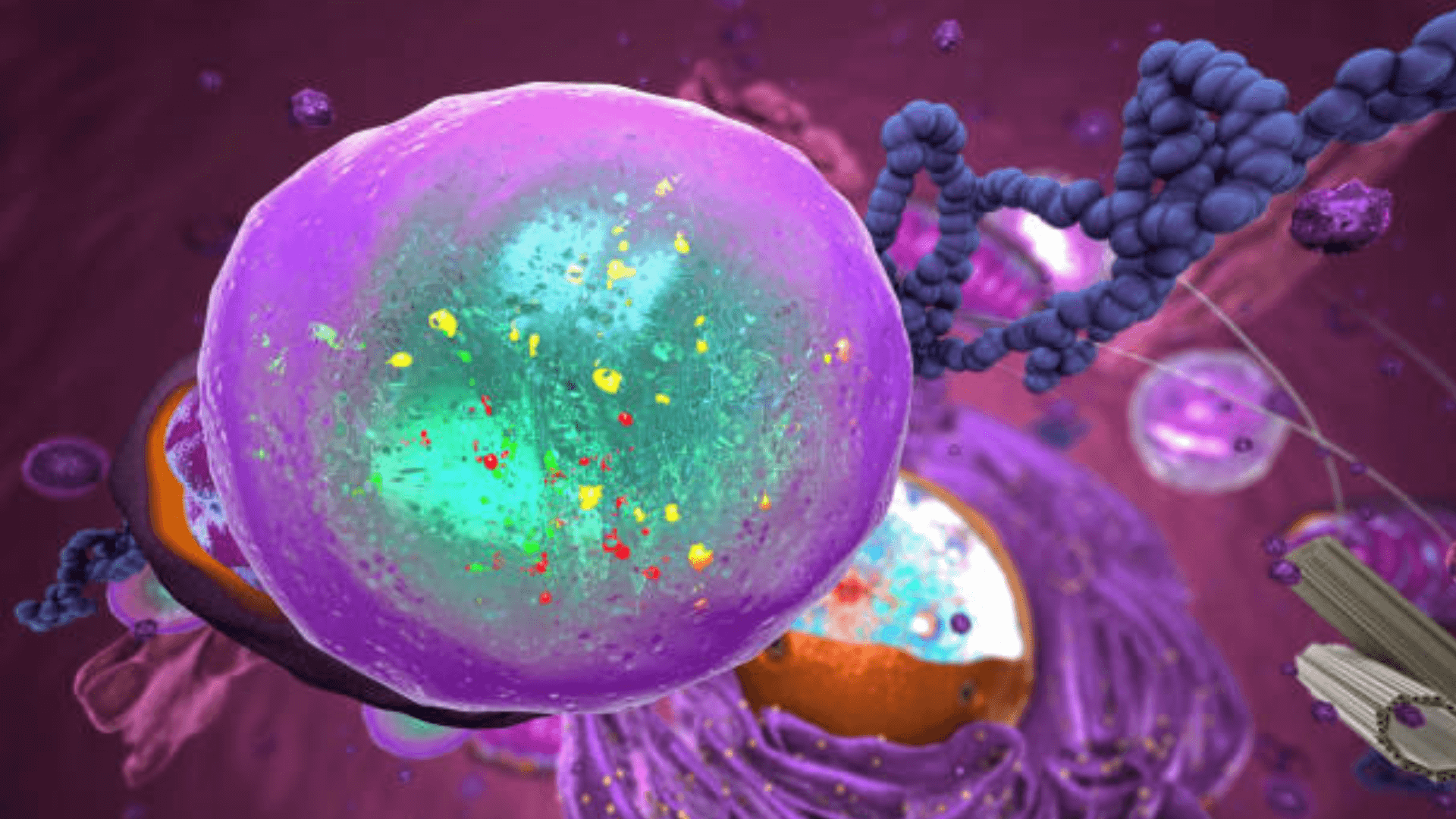 3D rendering of a colorful human cell with visible internal structures and surrounding DNA strands.