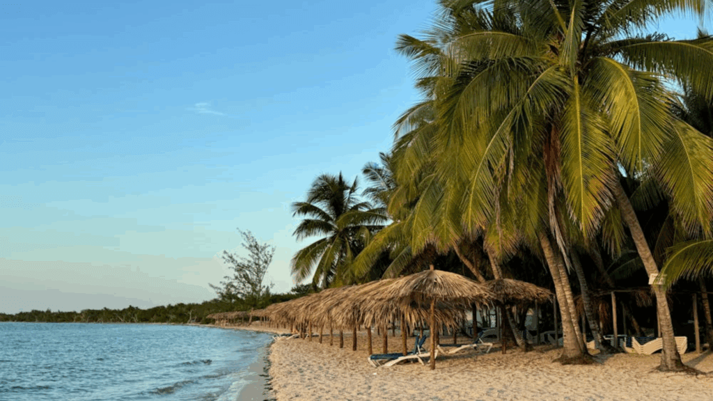 Beautiful beach view