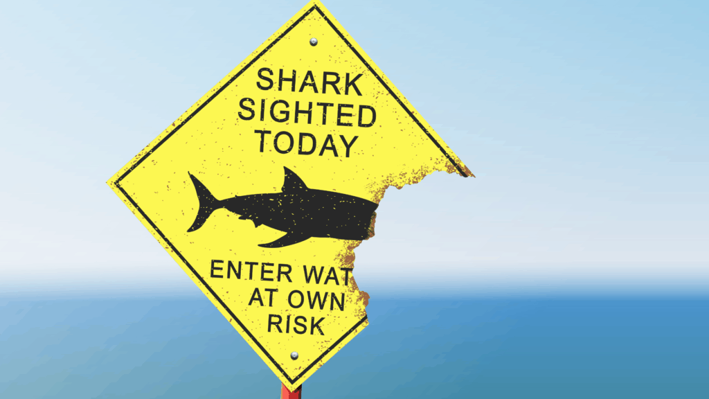 shark sighted site at the beach