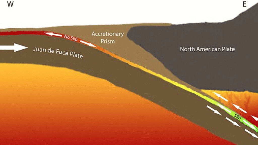 Cross section illustration of tectonic plates