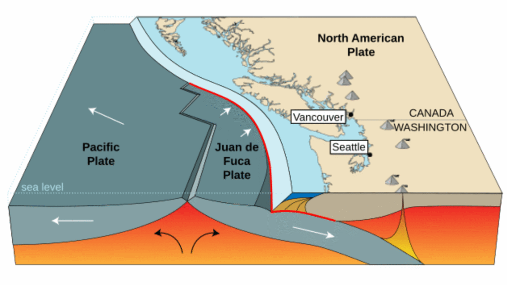 Diagram of the Juan de Fuca plate sliding beneath the North American plate off the West Coast