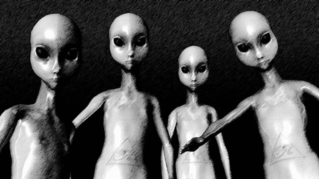 POV of An Alien Abduction Experience With 4 Aliens
