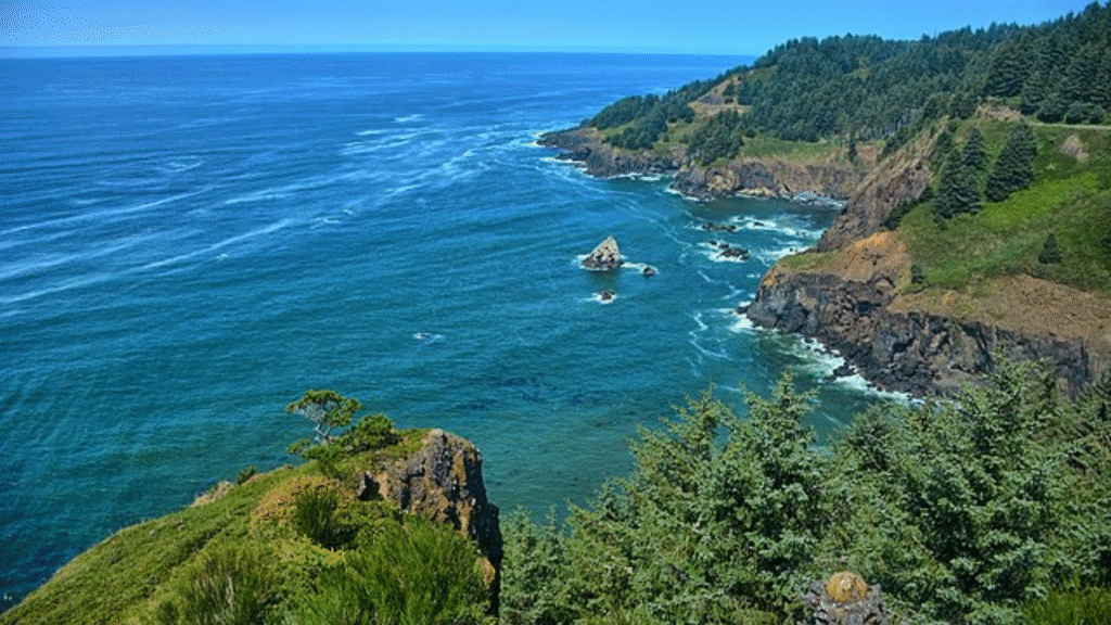 Pacific Northwest coastline