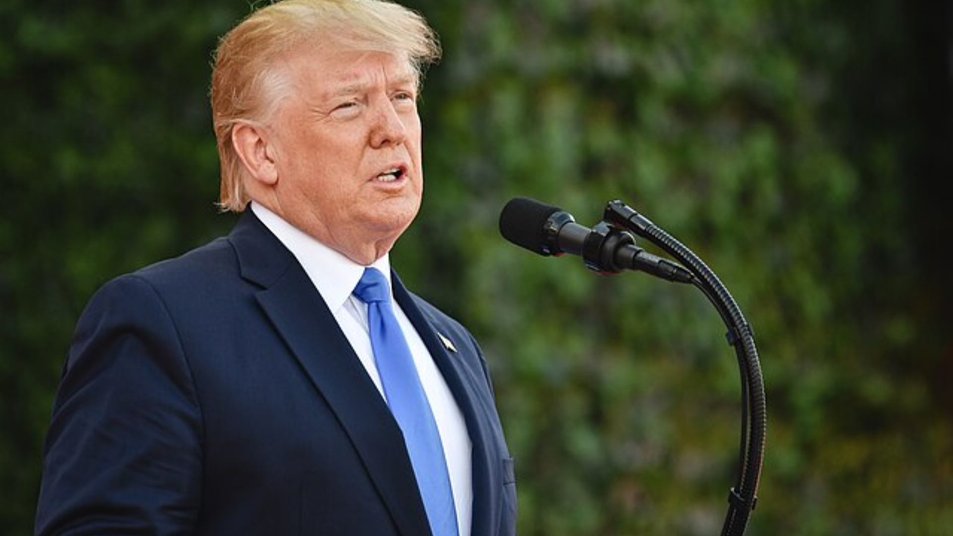President Donald Trump Speaking to a Microphone