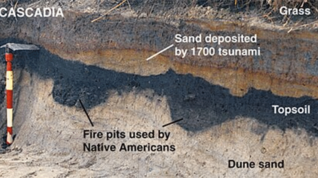 Sand layer from the 1700 Cascadia tsunami