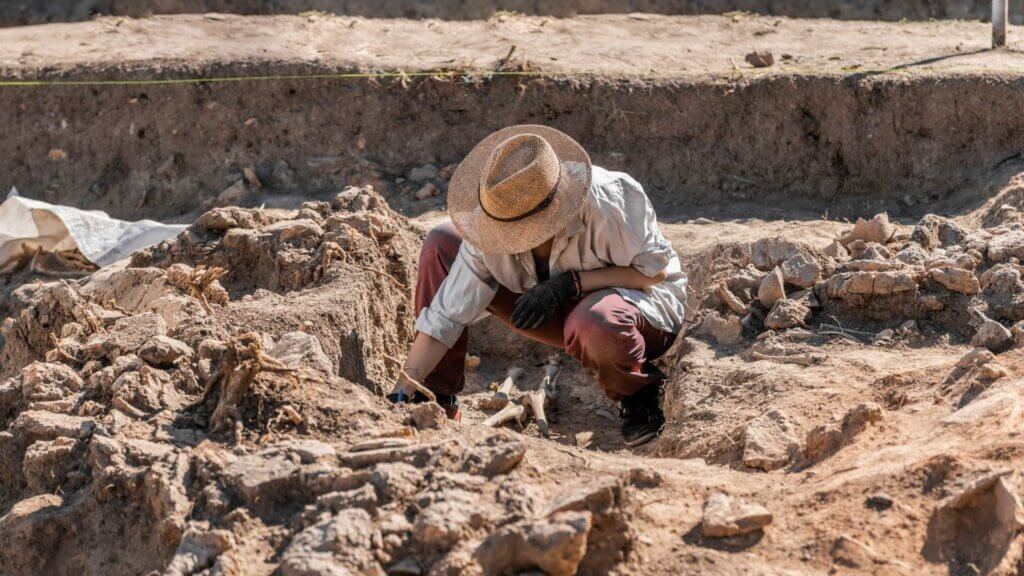 An archaeological excavations