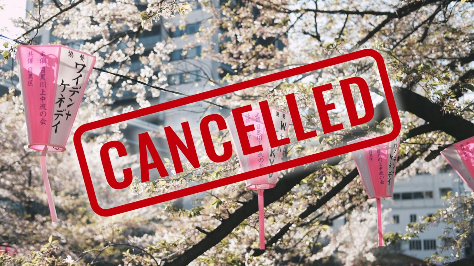 Japan Forced to Cancel Cherry Blossom Festival Due to Disrespectful Tourists Cherry blossom trees with a canceled sign overlaid