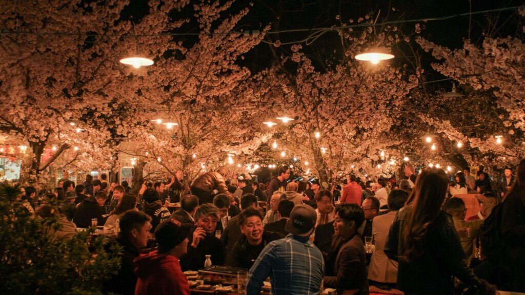 Cherry Blossom festival at night