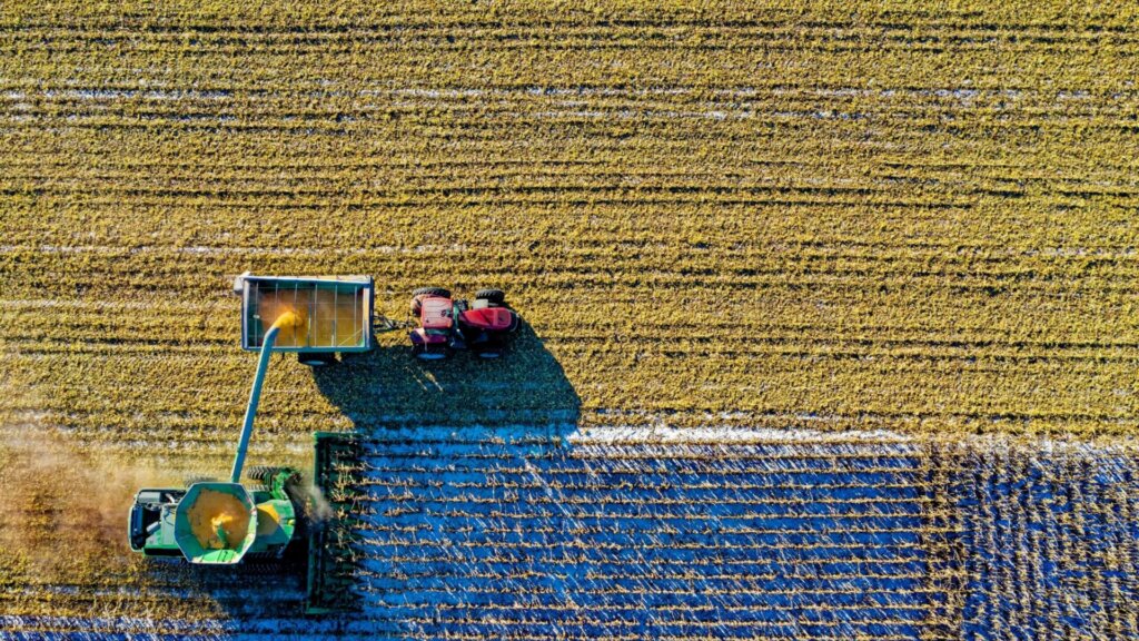 Top view of a green agricultural field with neatly divided crop sections.