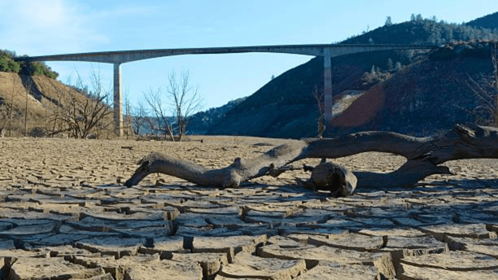 A bridge spanning a dry, cracked reservoir bed with a fallen tree trunk in the foreground during a drought.