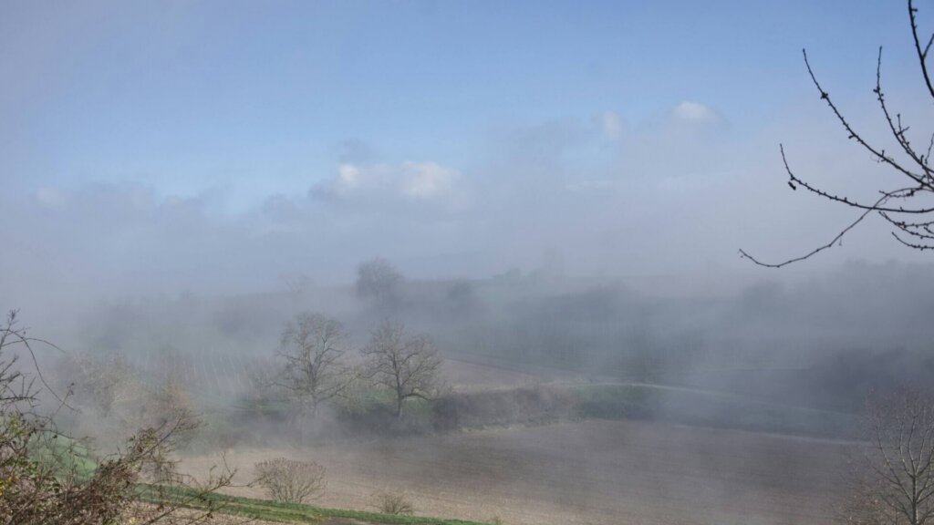 Misty rural landscape with trees and open fields under a cloudy sky.