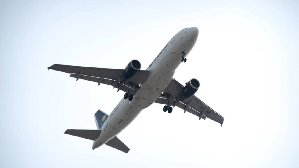 An underside view of a commercial airliner with its landing gear down, flying through a clear, pale sky.