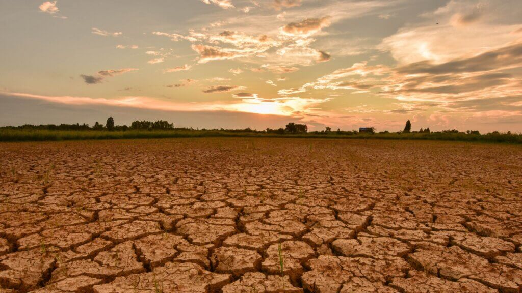 Cracked dry soil among a grassland under a hazy sky.