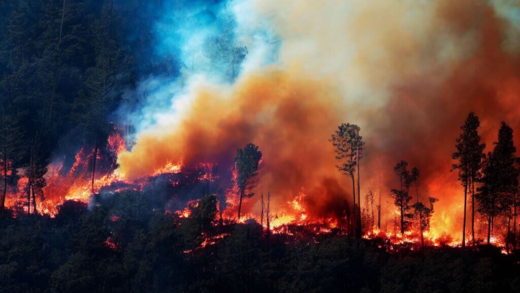 A raging forest fire with a large reddish smoke rising above.