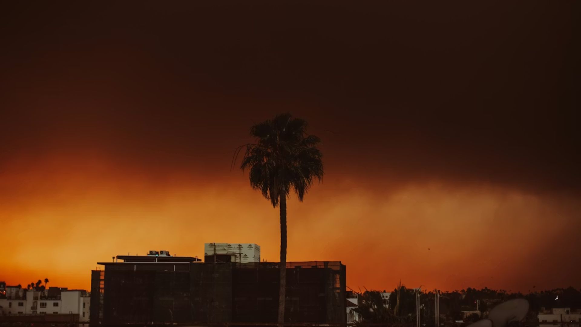 Sunrise during the Palisades Fire in Los Angeles, California.