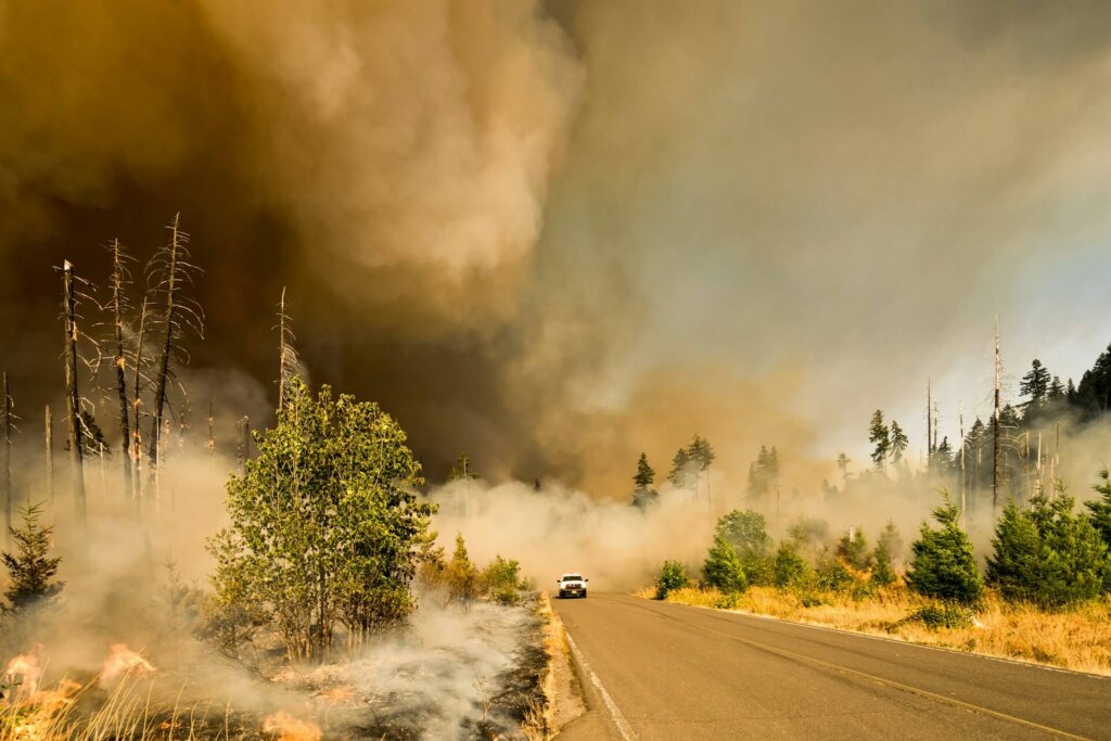 Wildfire burning along a roadside as thick smoke fills the sky and a vehicle approaches on the highway.