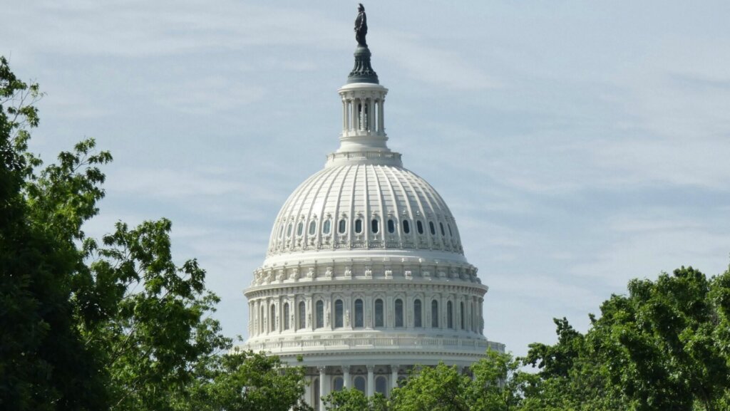 U.S. Capitol building dome seen above trees in Washington, D.C.