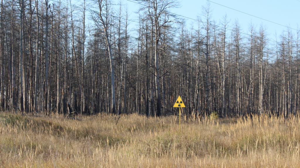 A yellow triangular radiation warning sign stands in a field of tall, dry grass in front of a dense forest of leafless, skeletal trees.
