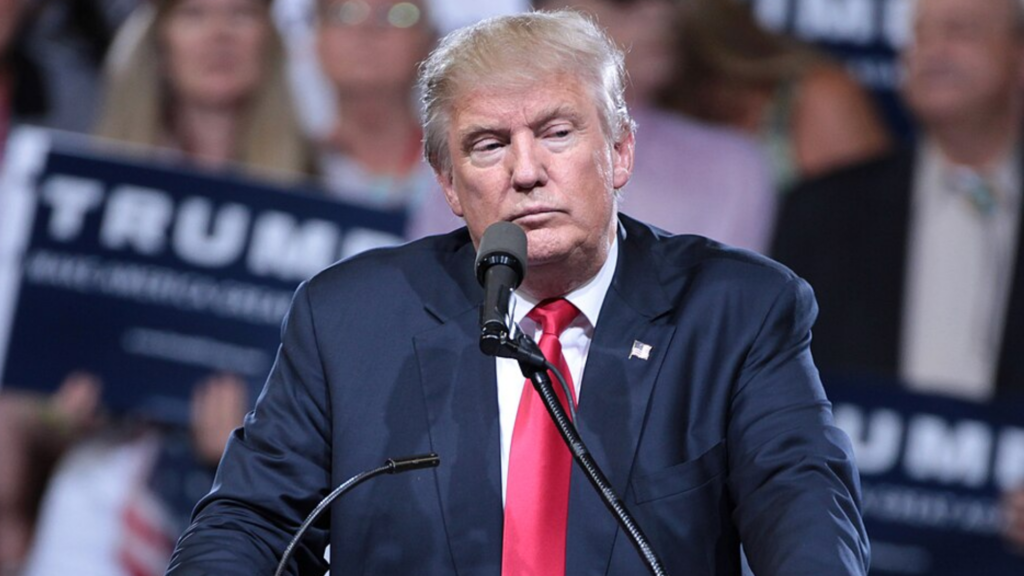 A medium shot of Donald Trump speaking at a campaign podium with a microphone, with _Trump_ signs and supporters visible in the blurred background.
