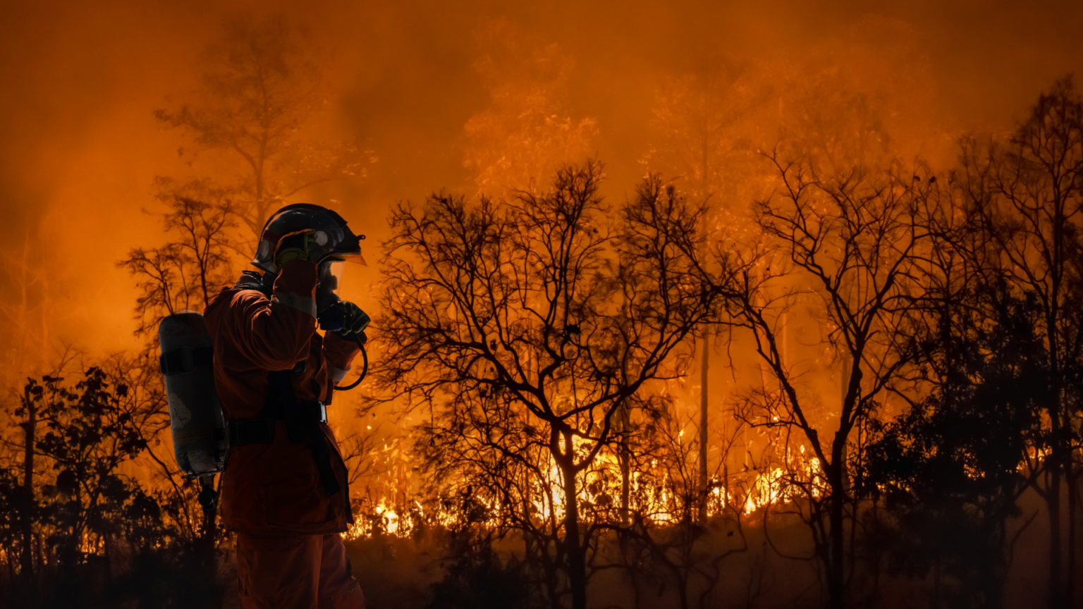 Thousands Urged to Stay Indoors as Florida Wildfires Drive Air Quality to ‘Unhealthy’ Levels
