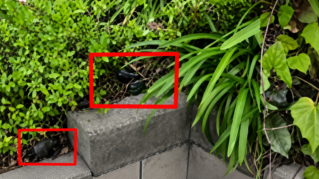 An image showing a hidden camera setup in a yard