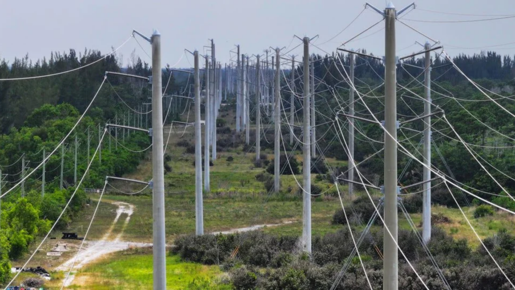 A vanishing-point perspective shot of tall concrete utility poles holding high-voltage power transmission lines cutting through a grassy, tree-lined landscape.