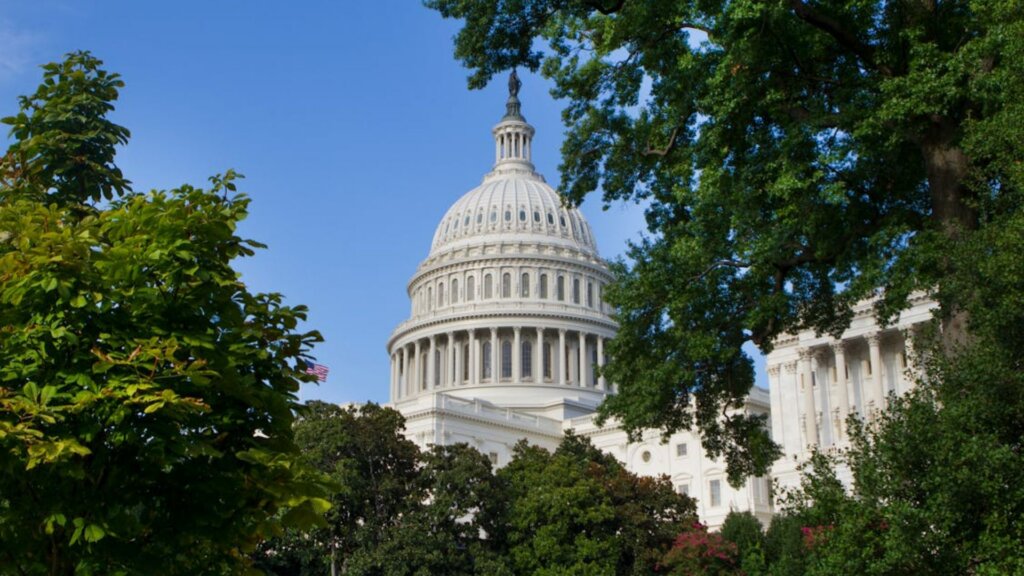 U.S. Capitol building dome framed by green trees on a clear day.