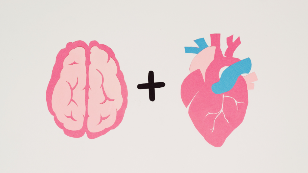 A minimalist paper cutout art piece on a white background displays a pink brain next to a black plus sign, which is followed by a pink and blue anatomical heart.