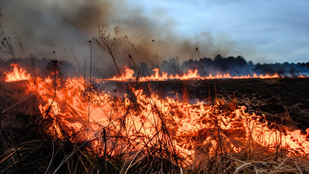 Orange flames spread through dry grass across an open field. Thick gray and brown smoke rises above the burning vegetation.