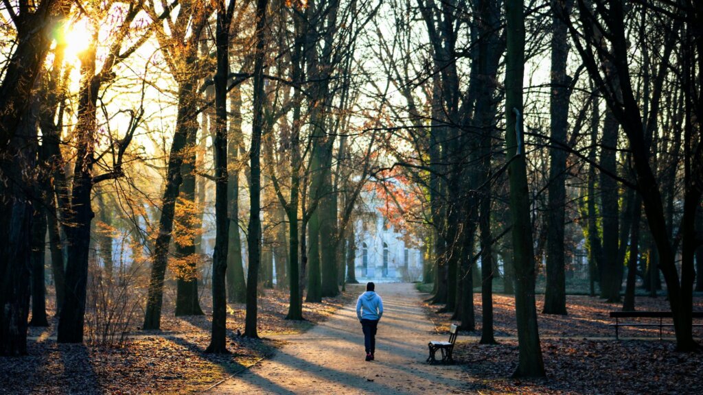 Person walking alone down a sunlit, tree-lined park path in autumn, with a building visible in the distance.