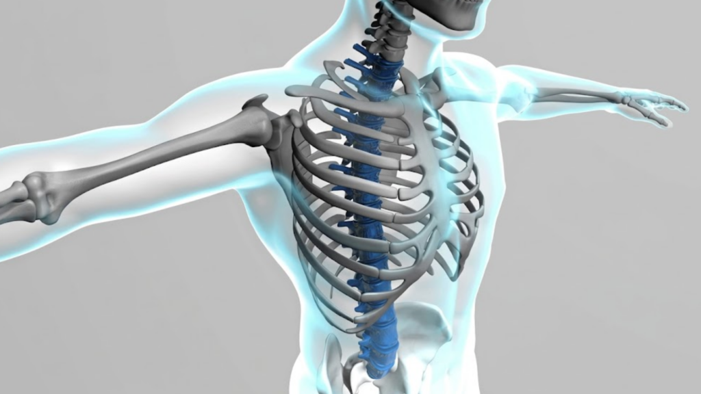 X-ray of human body and skeleton.