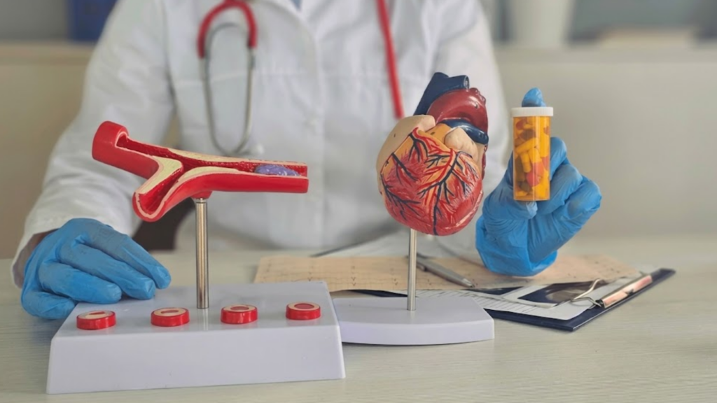 Physician holds drug tablets and model of artificial heart. Doctor demonstrates importance of taking medicines for heart health.
