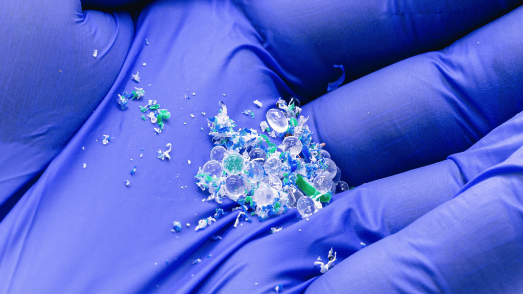 Gloved hands holding clear plastic pellets and shredded microplastics.
