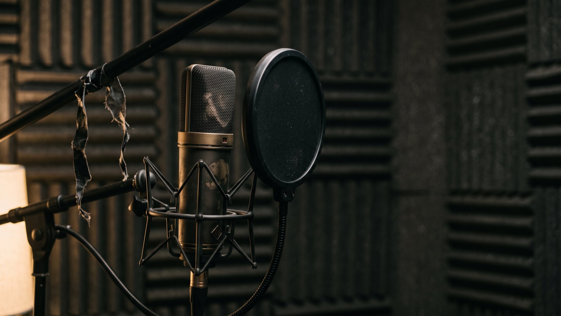 A studio microphone and foam shield set up for a single voice, tied to slide 4's shift from a male narrator to the performers reading their own lines.