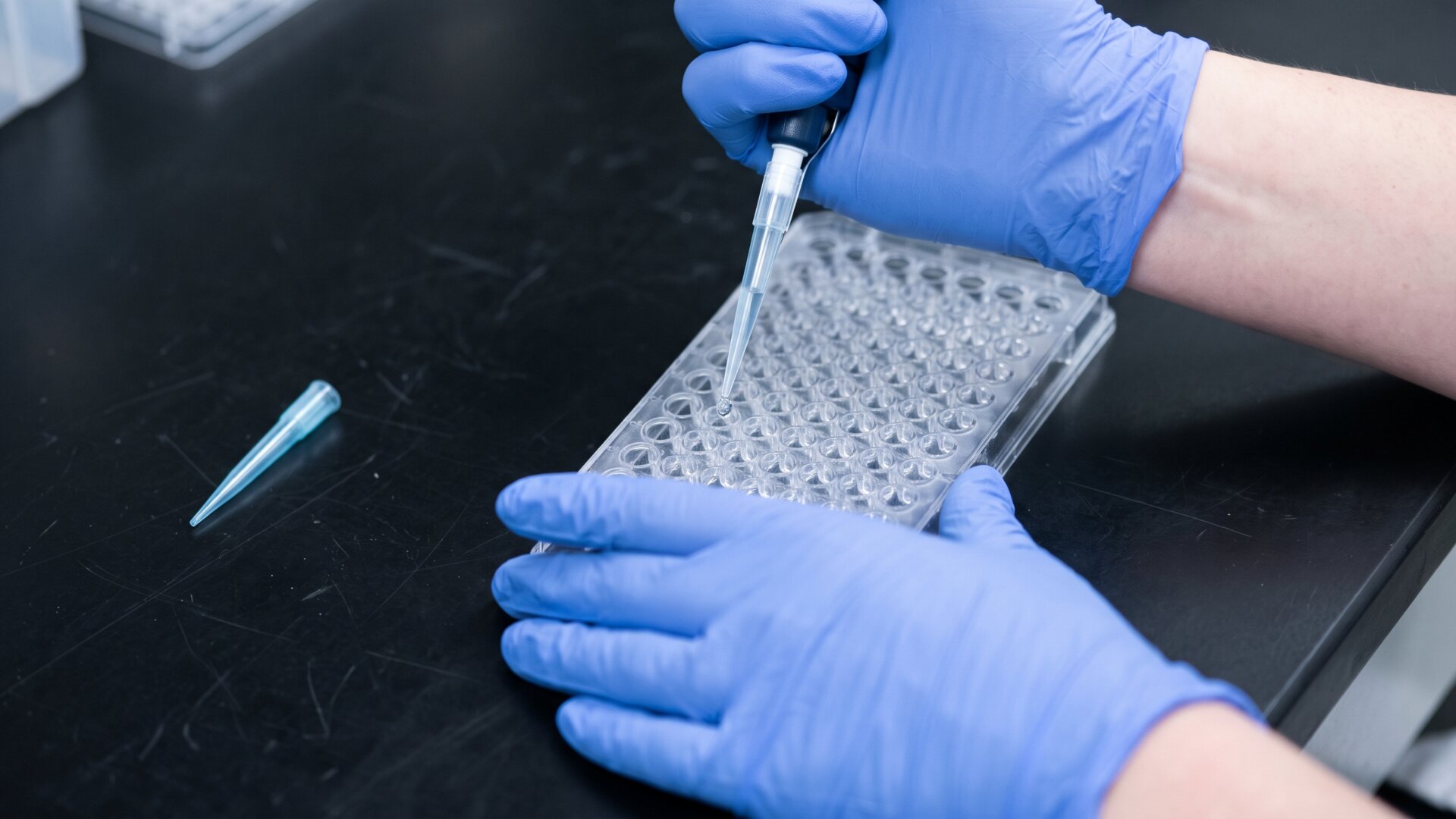 Hands pipetting into a plate of small wells, standing for the shortened soluble enzyme preparation and the limits of what was tested.