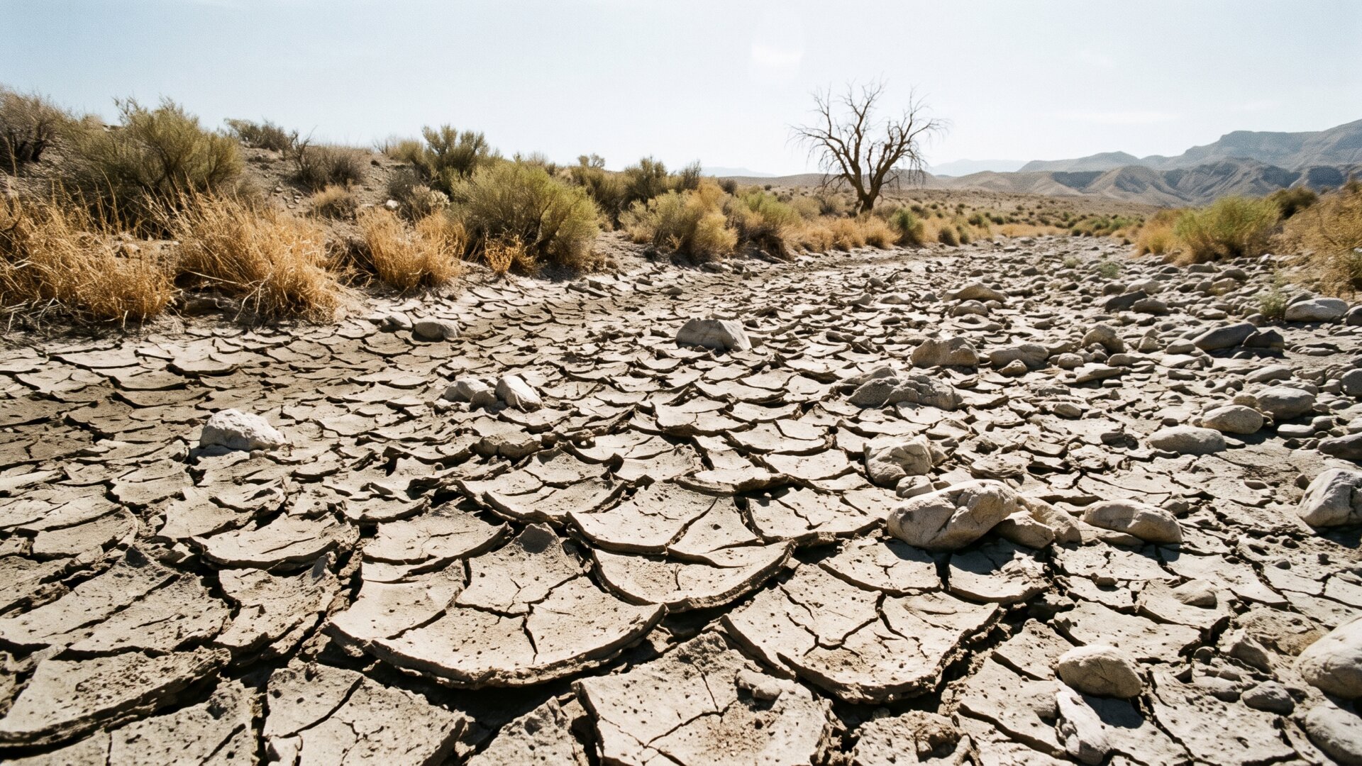 A cracked dry streambed, the drought condition Airbnb cites as the kind of outside authority that still justifies a host request.